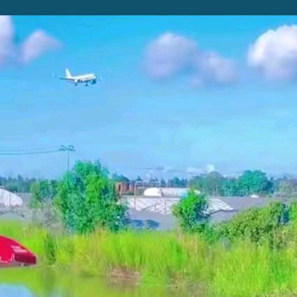 北新彩票休闲垂钓中心