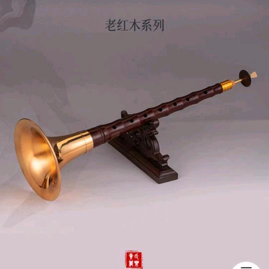 金亮艺术团