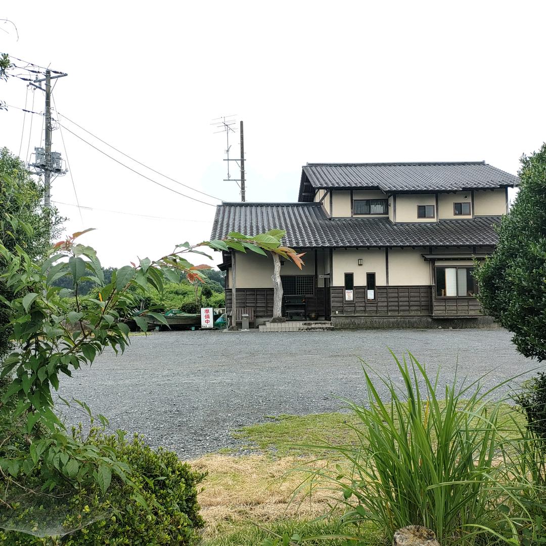 桃叶风