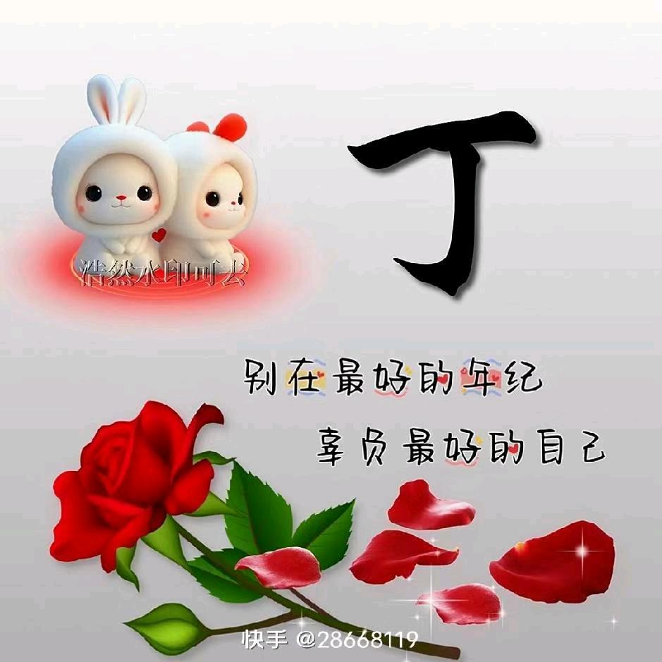 💅豆丁影视💅