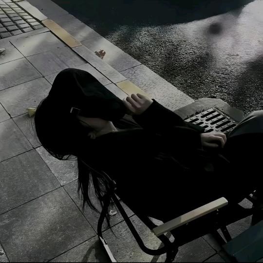 白茶清欢