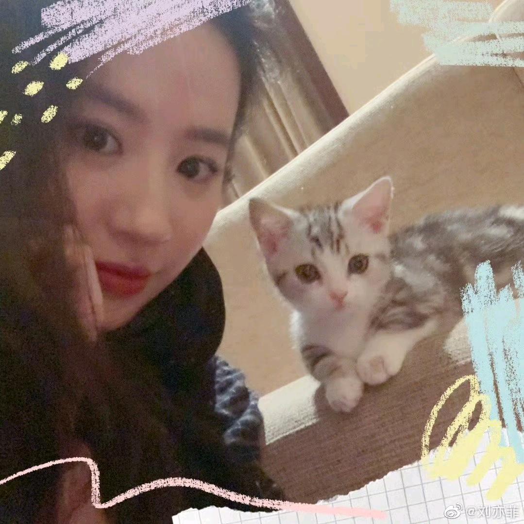 大漂亮好运连连财富滚滚来