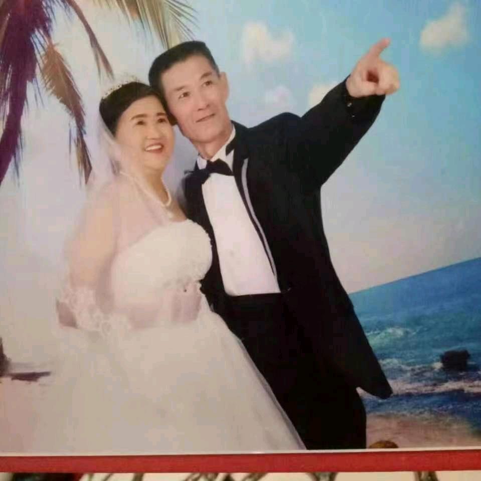 长寿花