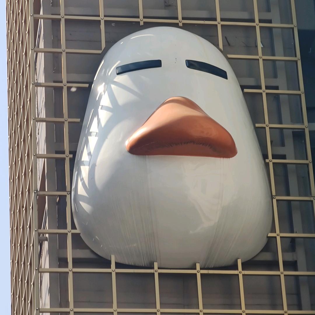 塔塔🦆