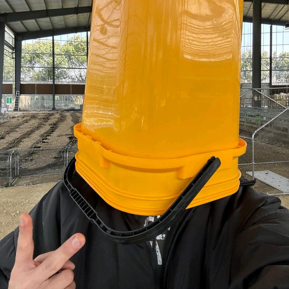 宋宋