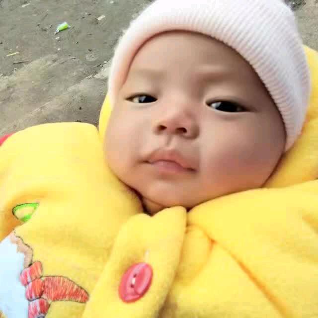 敢爱敢恨虎女