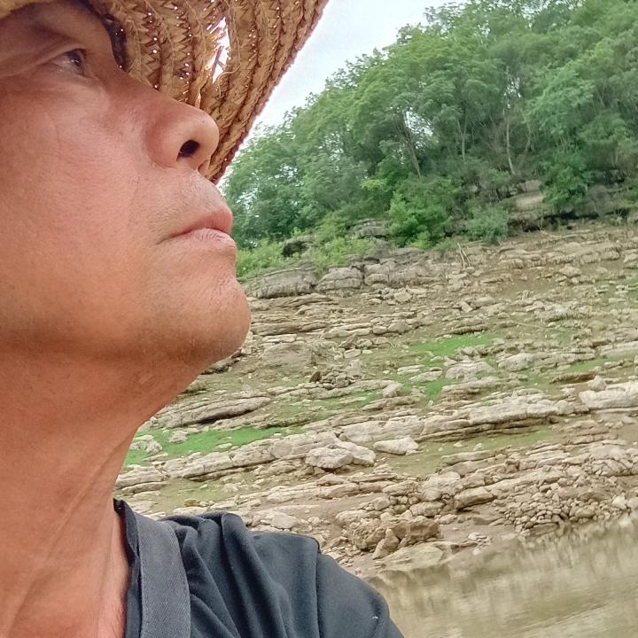 江湖兽医