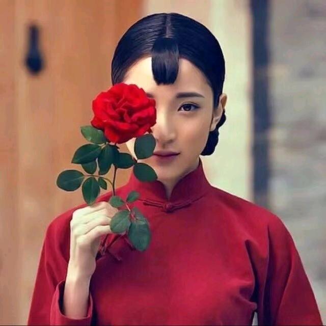 兔了个兔