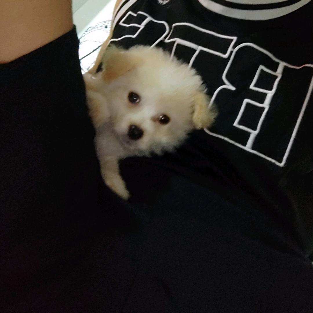 晚离渐.