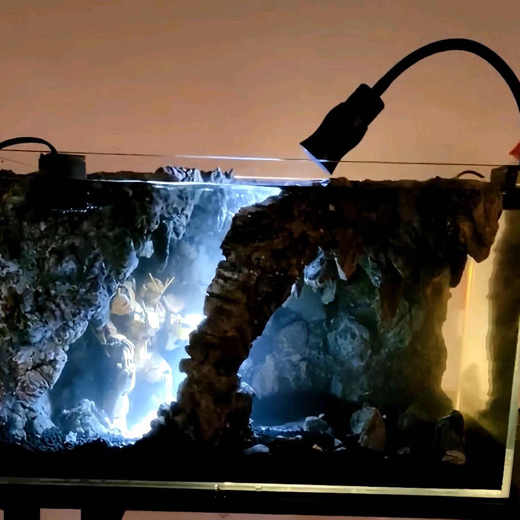 木风「鱼缸造景」