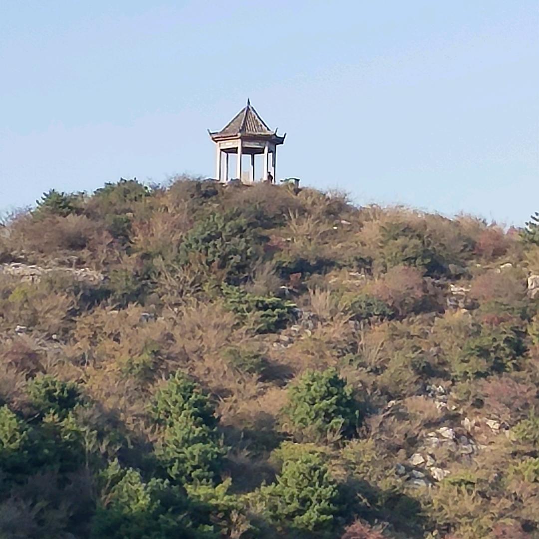 平头哥