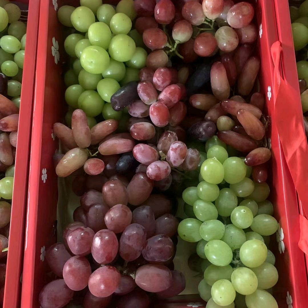 小星星果园金品🍇葡萄