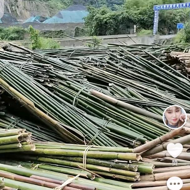 开心每一天。😊