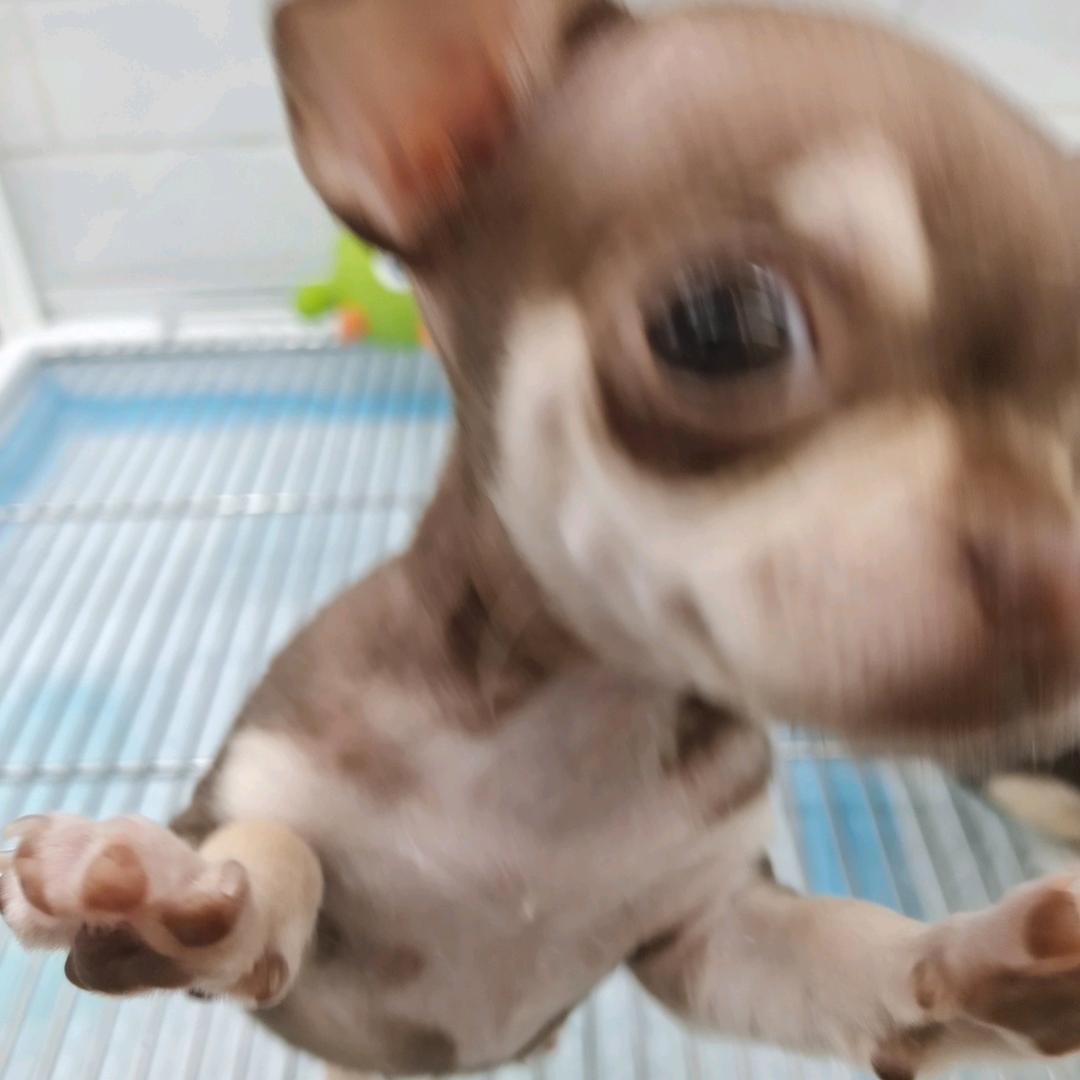 关灯