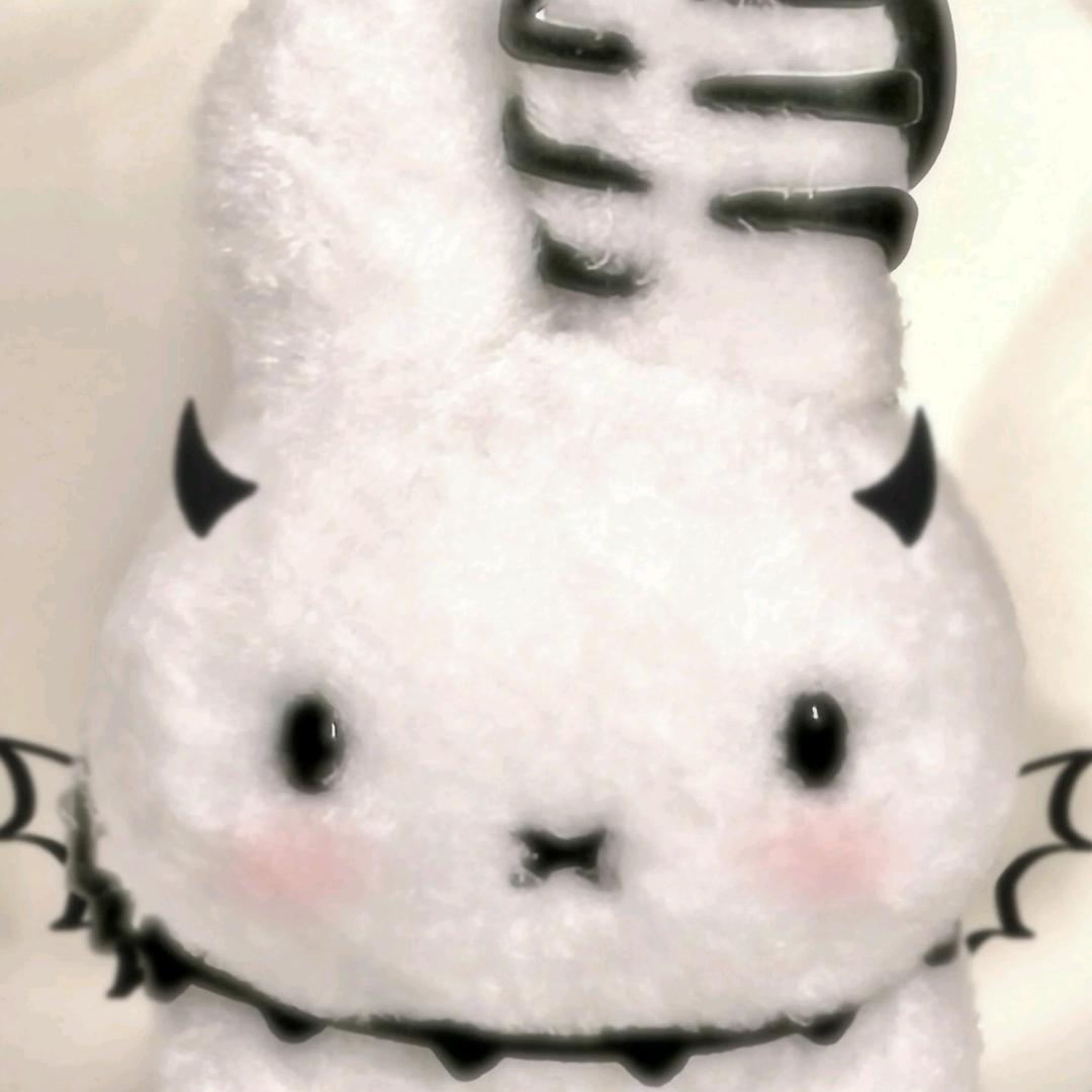 无情雨🐰