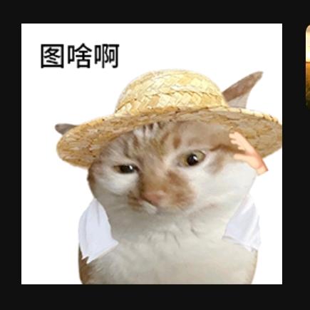 林碳水化合物凉皮米线🐾🐾