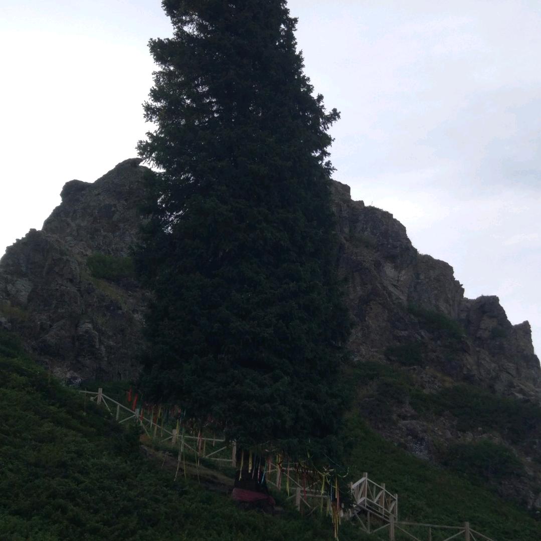 水珠