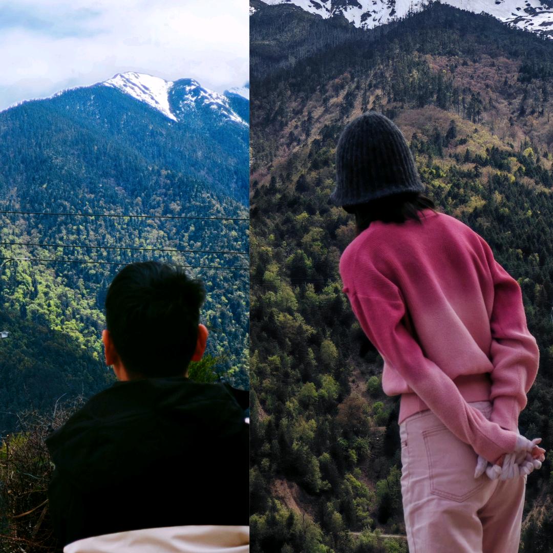 山果记高原鲜果