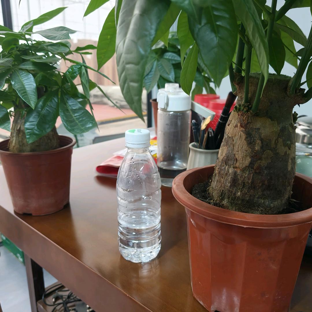 天地灵气