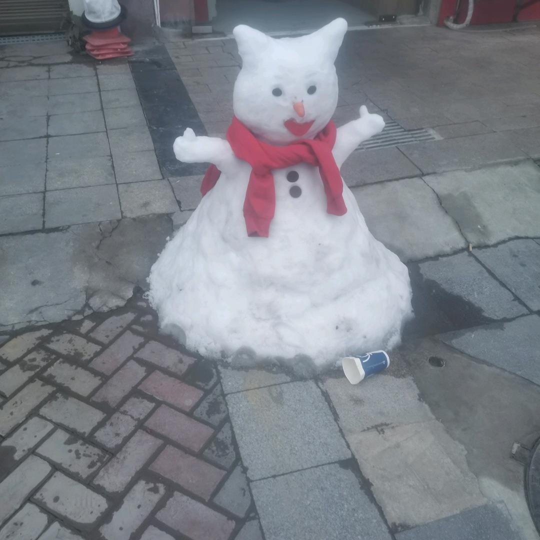 正青春