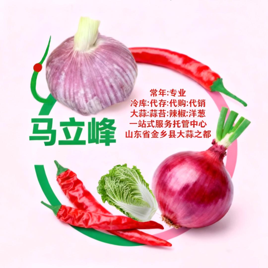 马立峰⭕专业大蒜洋葱蒜苔辣椒