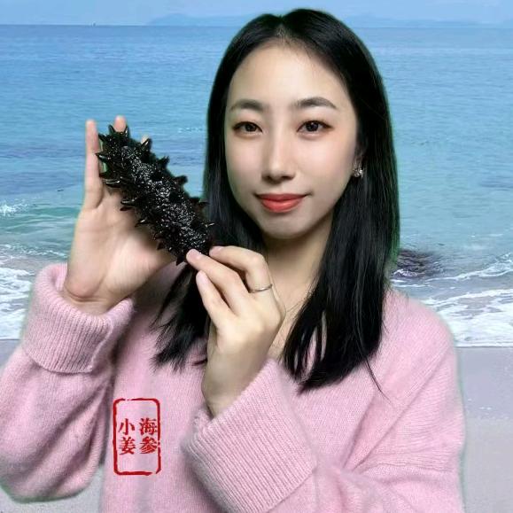小姜海参 臻品海参