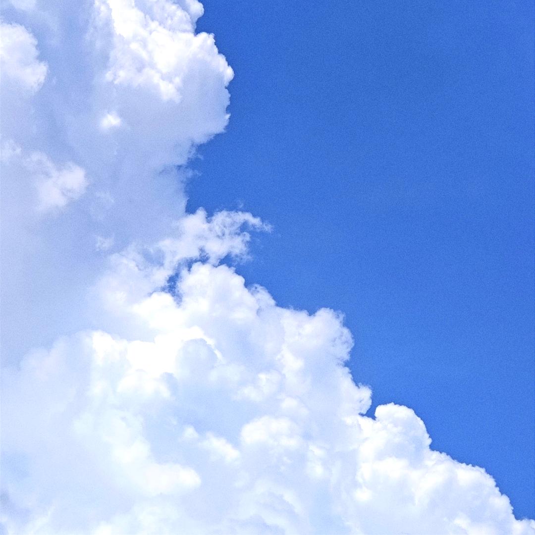 小叶子🌿🌈