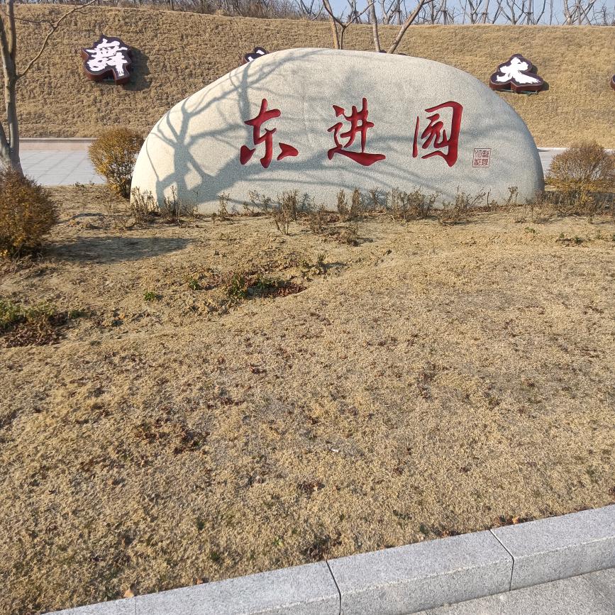 强哥想你