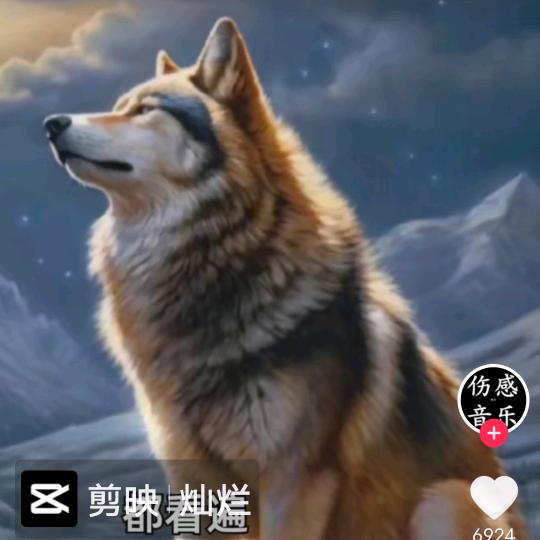 狼酒哥