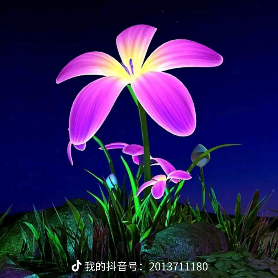 财神哥哥