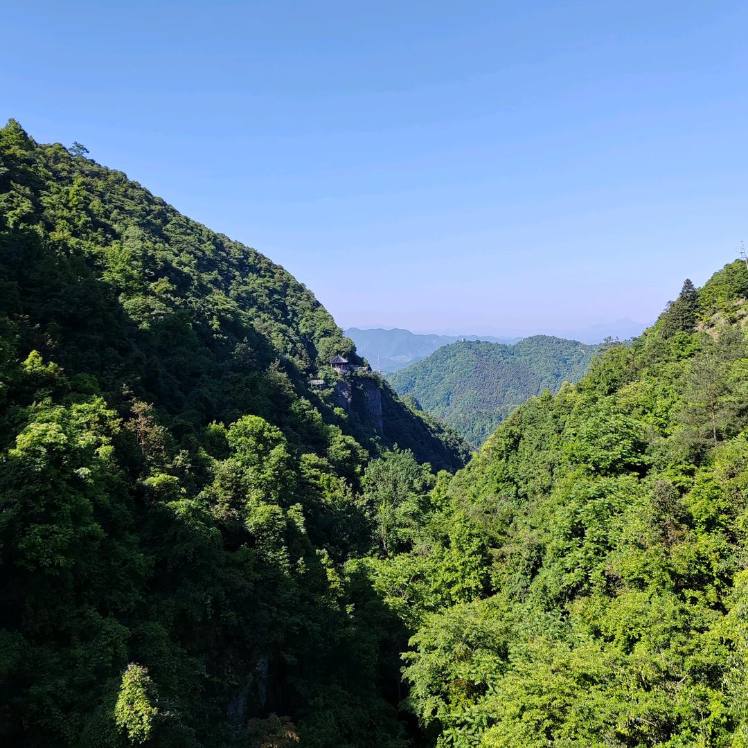 玉米