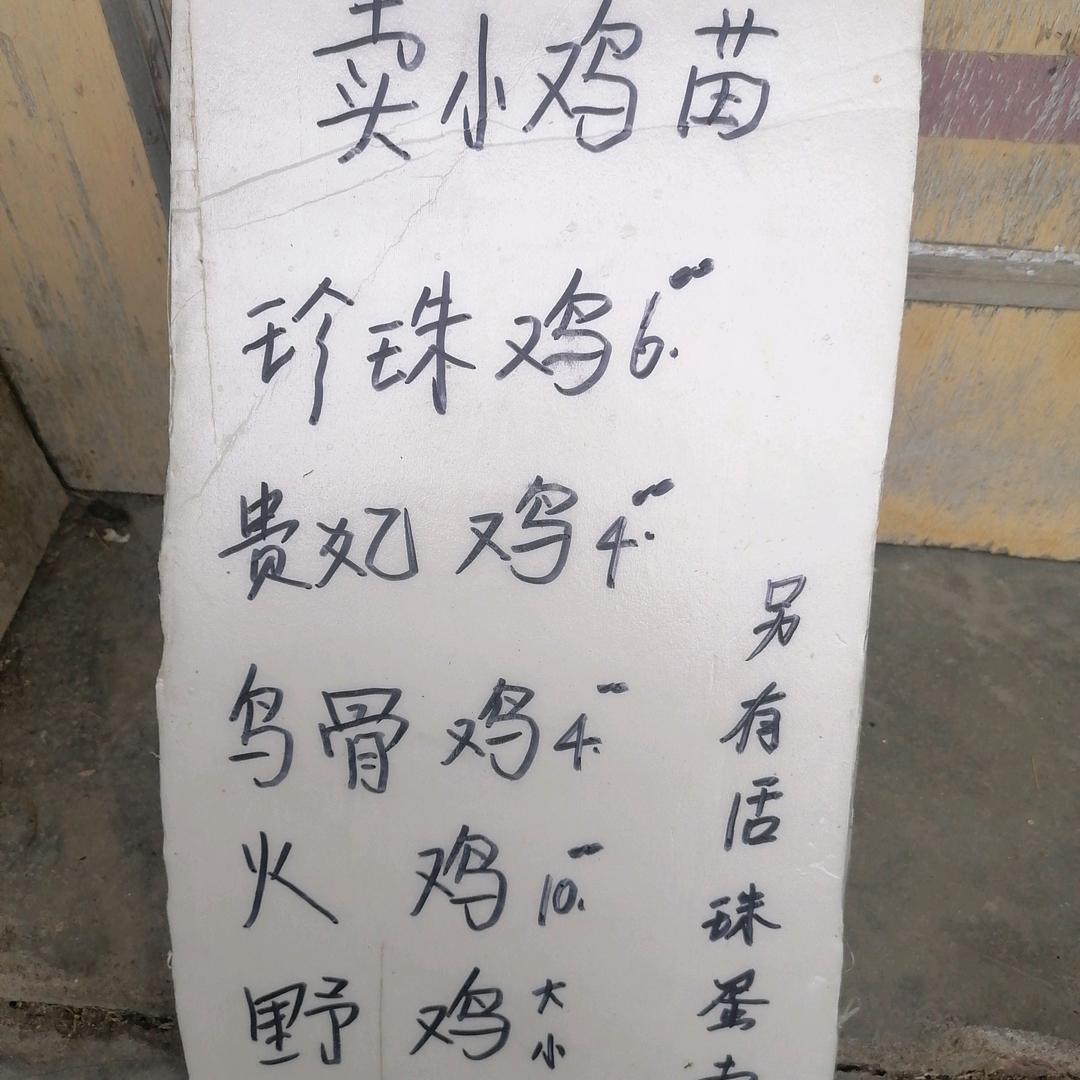 卖小鸡