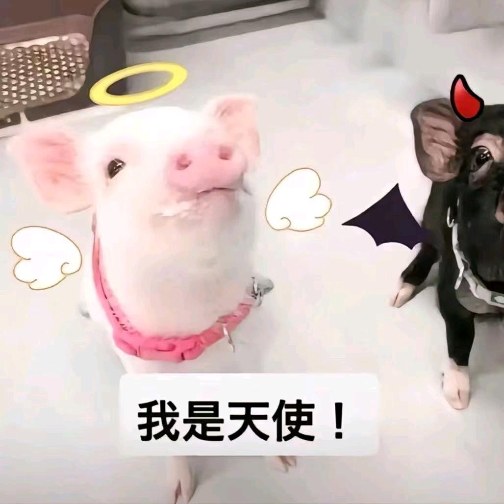 早悟兰因