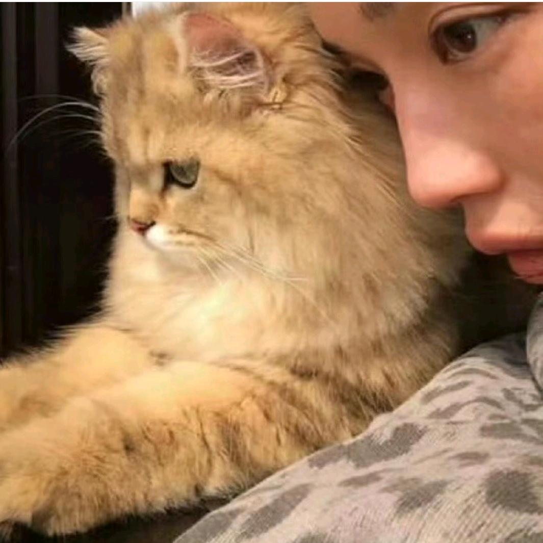 小梛