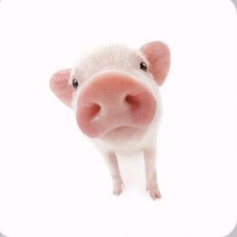 明天再说依依໒꒰ྀི ´