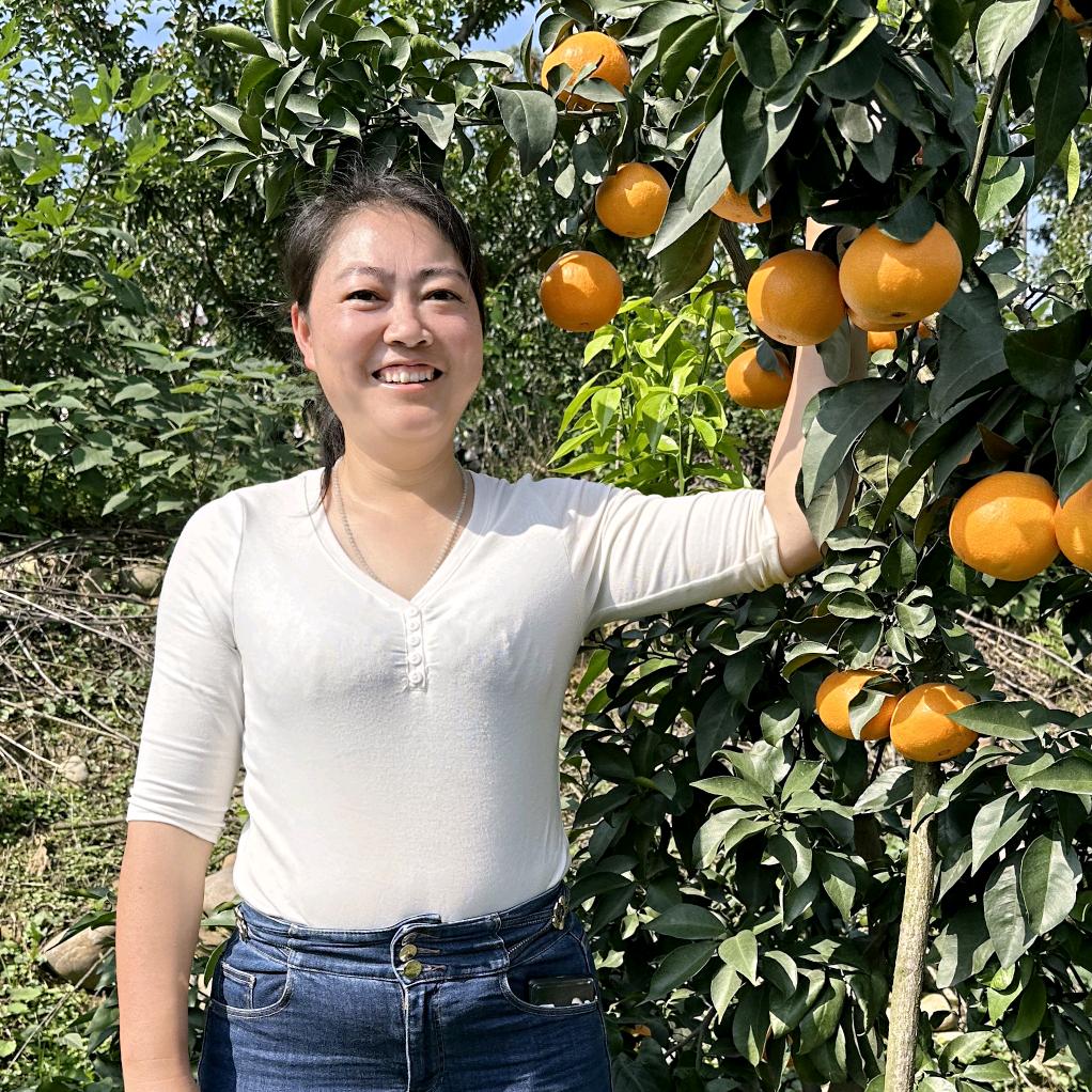 雪花水果代办，爱媛耙耙柑