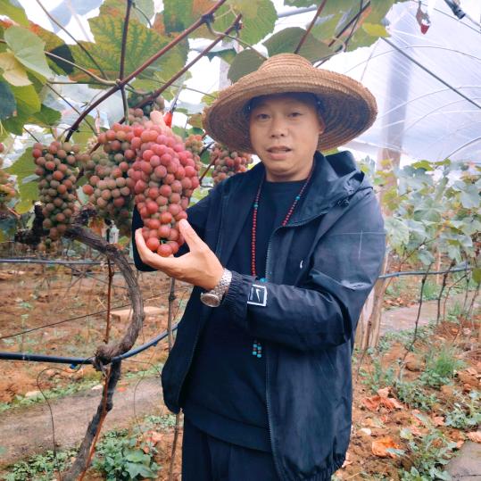我不是村长