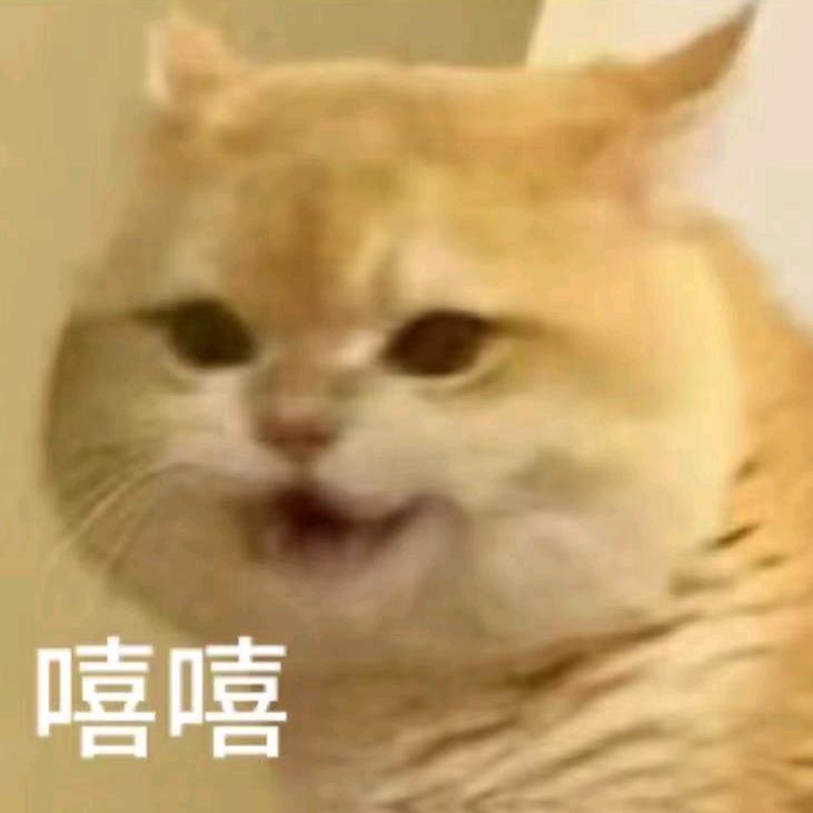 小小小天