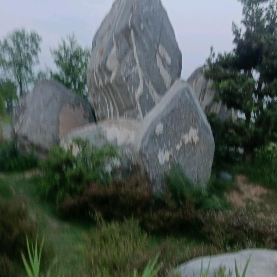 小草