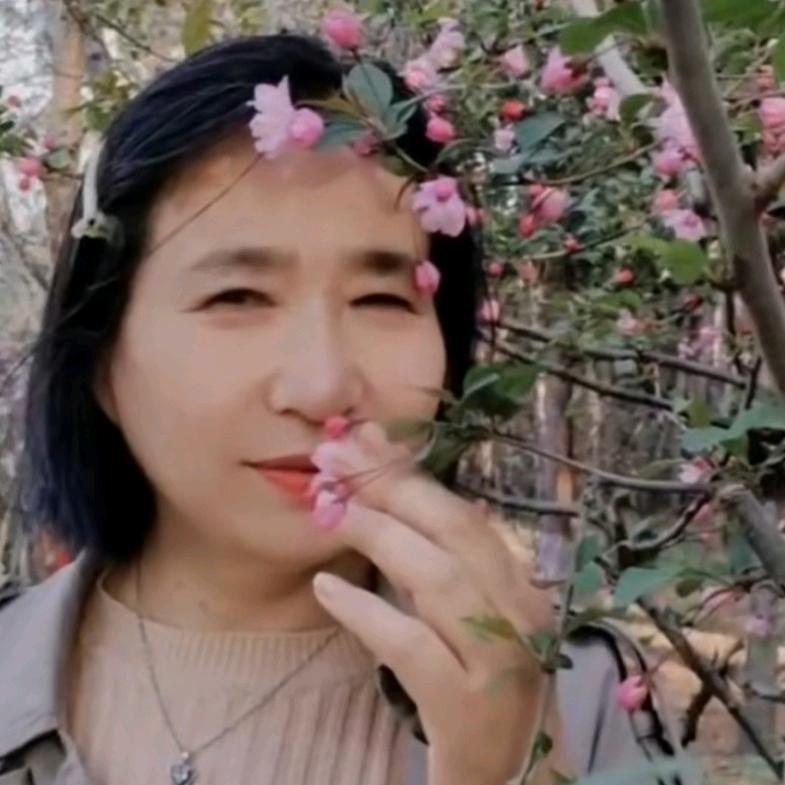 允的零食屋的头像