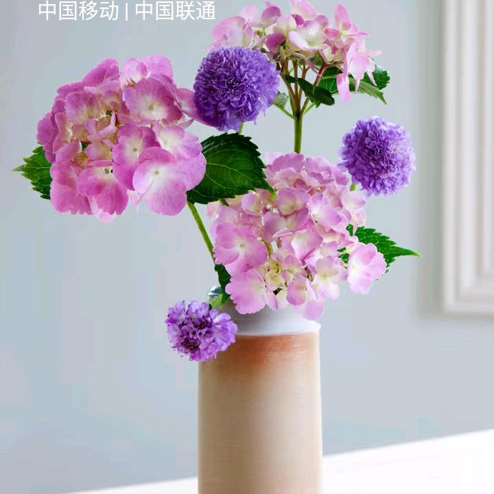 一切随缘😊