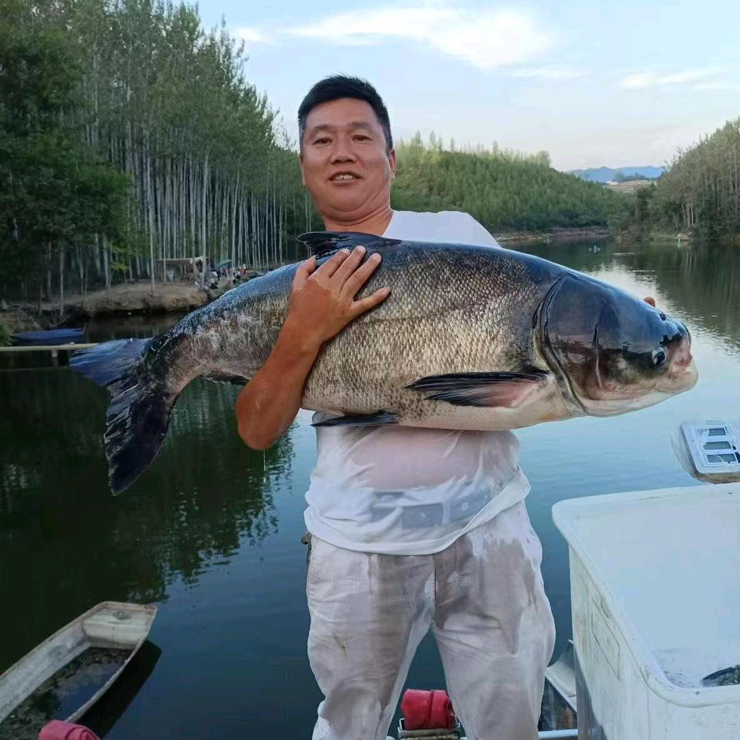 老虎沟水库：牛哥