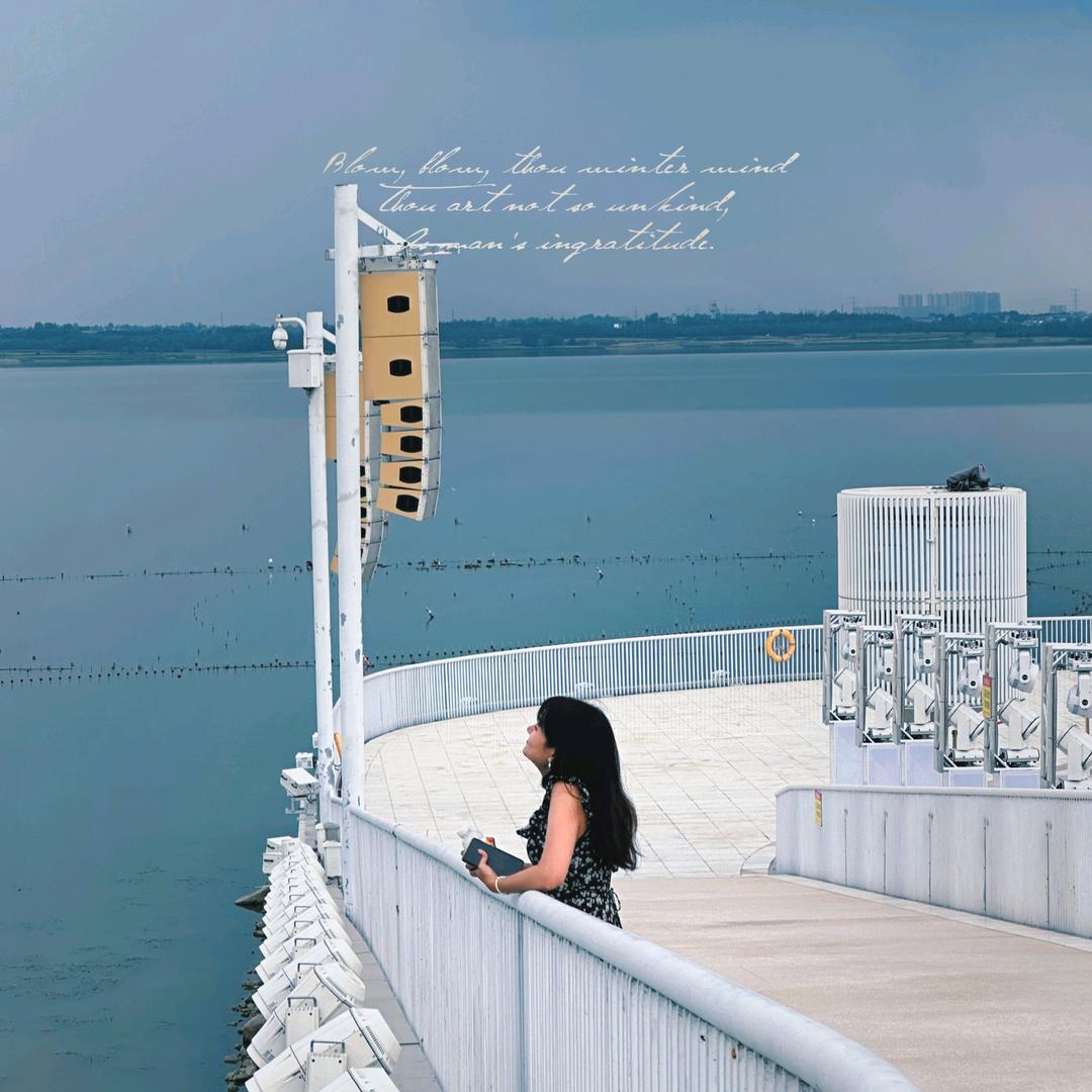 一抓一个上上签