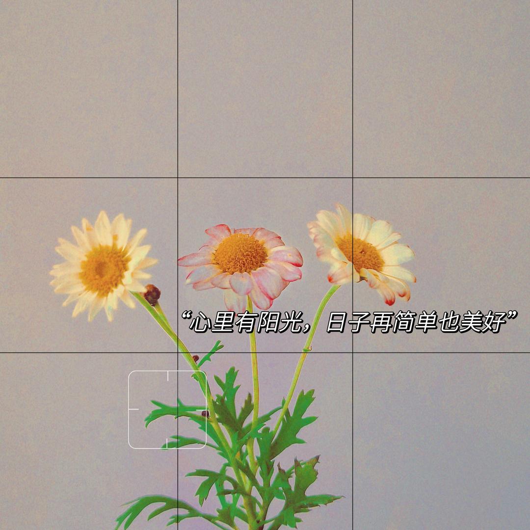 杨杨🌷
