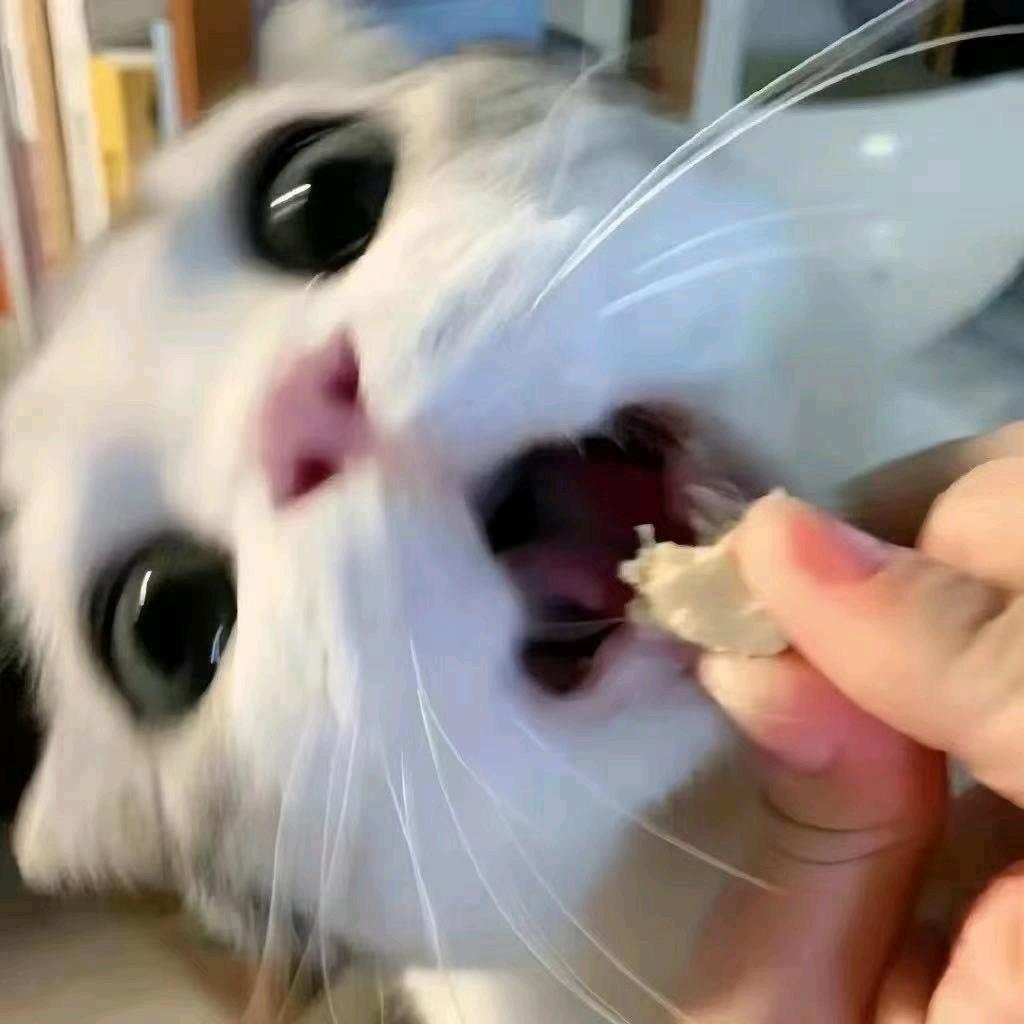 拿铁不苦