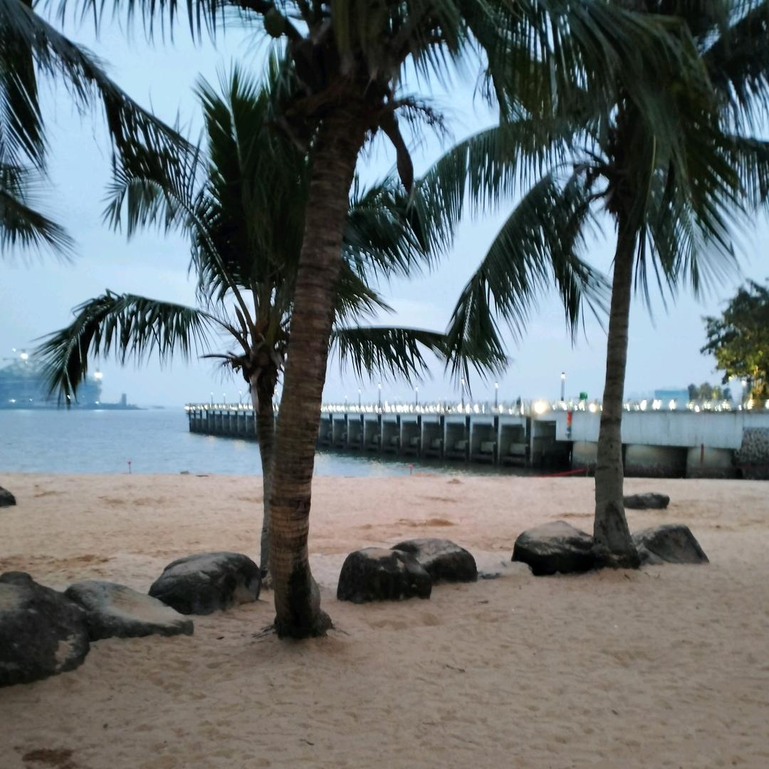 湛江（小毛宁）