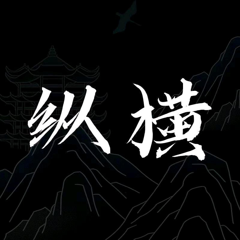 纵横观史