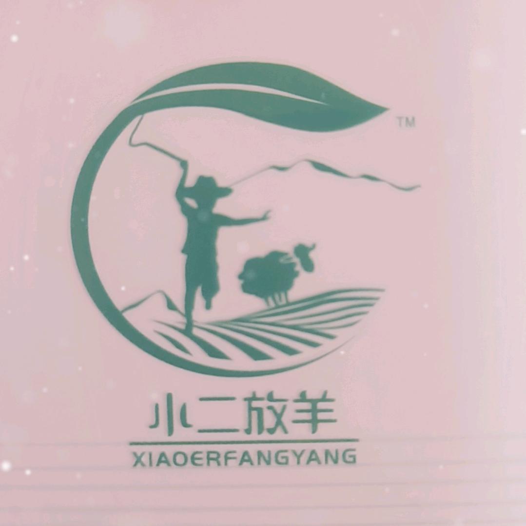 小二放羊，喝好奶选羊🐏奶