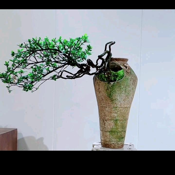 馨晨海岛园艺
