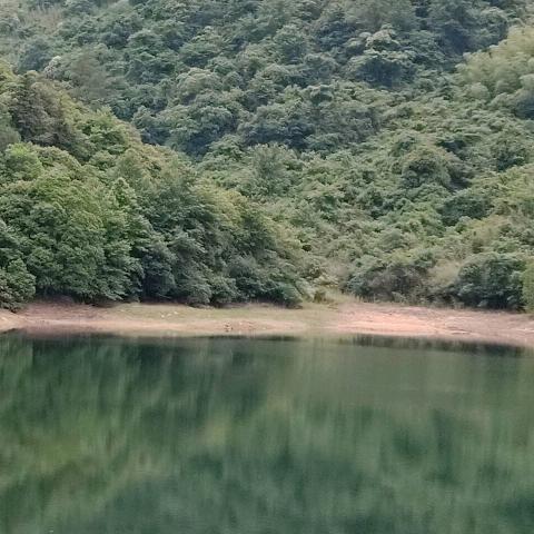老狼🐺